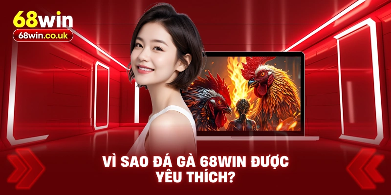 Vì Sao Đá Gà 68WIN Được Yêu Thích?